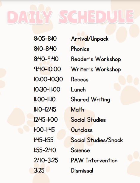 Daily Schedule